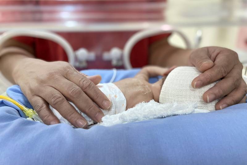 Foto: Reprodução/Secom Pará