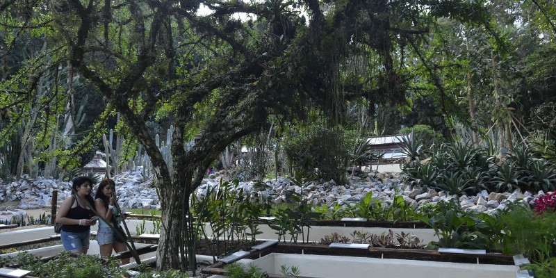 © Tomaz Silva/Agência Brasil