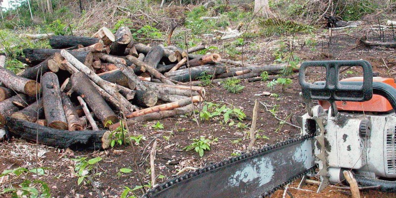 © Arquivo/Agência Brasil