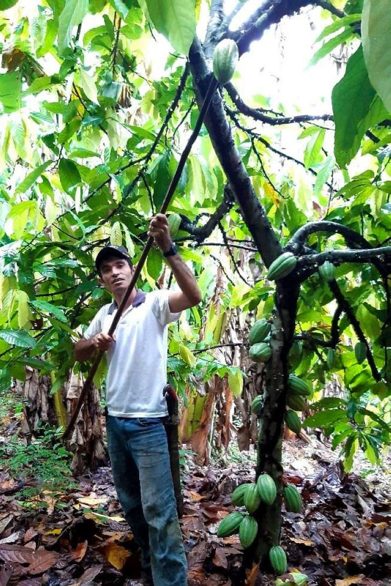 Foto: Reprodução/Secom Pará