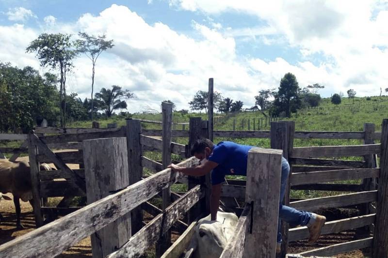 Foto: Reprodução/Secom Pará