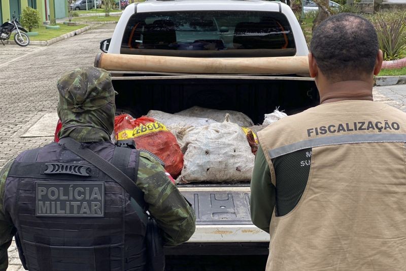 Foto: Reprodução/Secom Pará