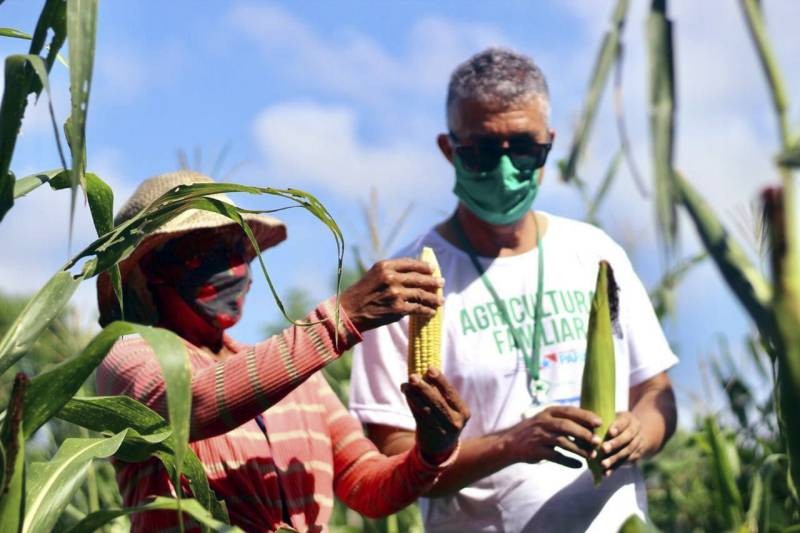 Foto: Reprodução/Secom Pará