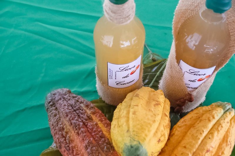 Foto: Reprodução/Secom Pará