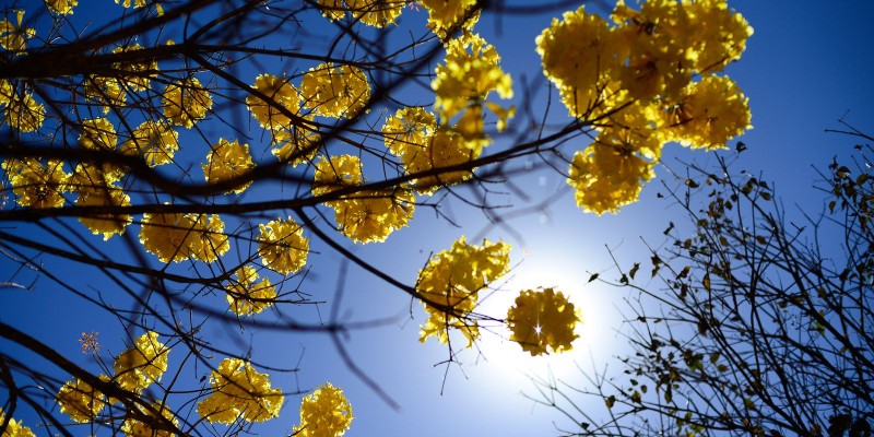 © Marcello Casal JrAgência Brasil