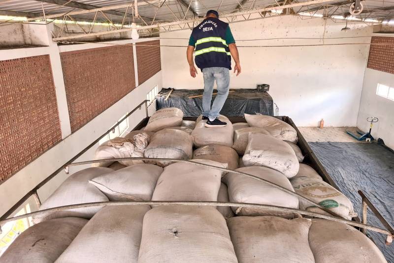 Foto: Reprodução/Secom Pará