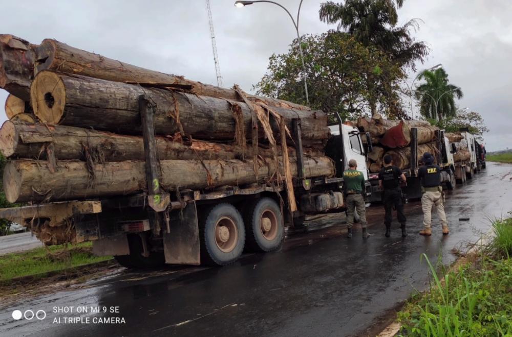 Polícia Federal, PRF e IBAMA participaram da operação - Foto: Polícia Federal