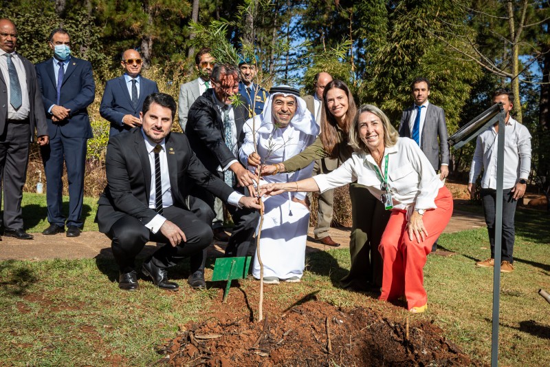 Foto: Divulgação/EAI