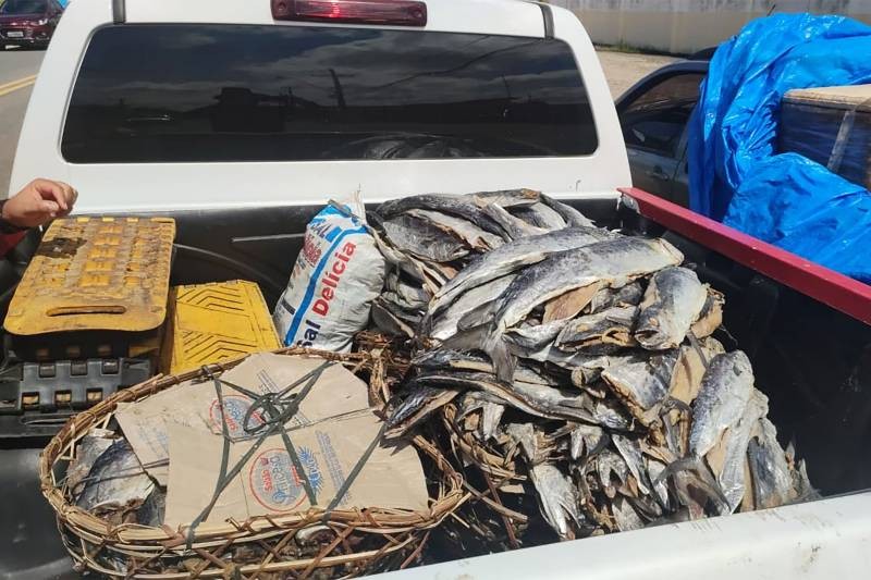 Foto: Reprodução/Secom Pará