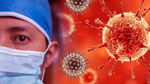 Reprodução Internet 