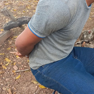 Foto: PC/Brasil Novo