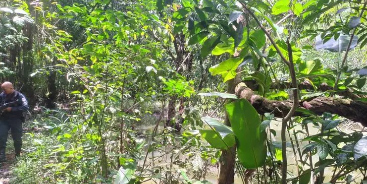 Crédito: Reprodução