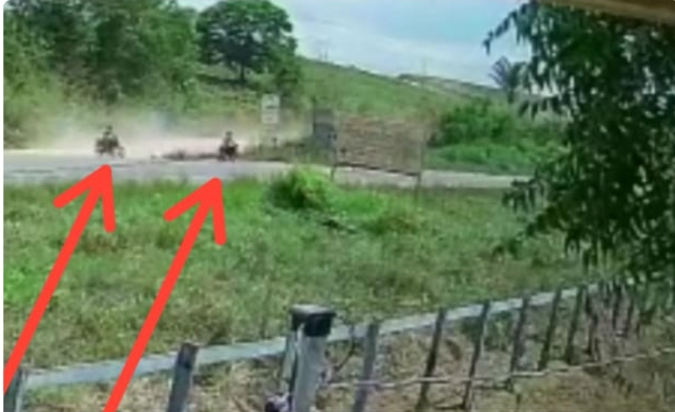 Foto: Polícia Civil/Divulgação