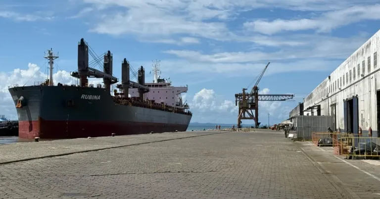 Brasil suspende importação de amêndoas de cacau da Costa do Marfim por risco fitossanitário