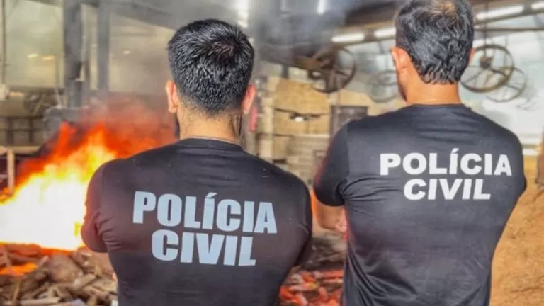 Polícia Civil incinera mais de 220 kg de drogas apreendidas em Altamira e região
