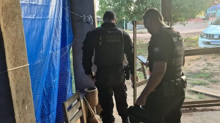 PF faz operação contra grilagem de terras públicas no Pará — Foto: PF/Divulgação