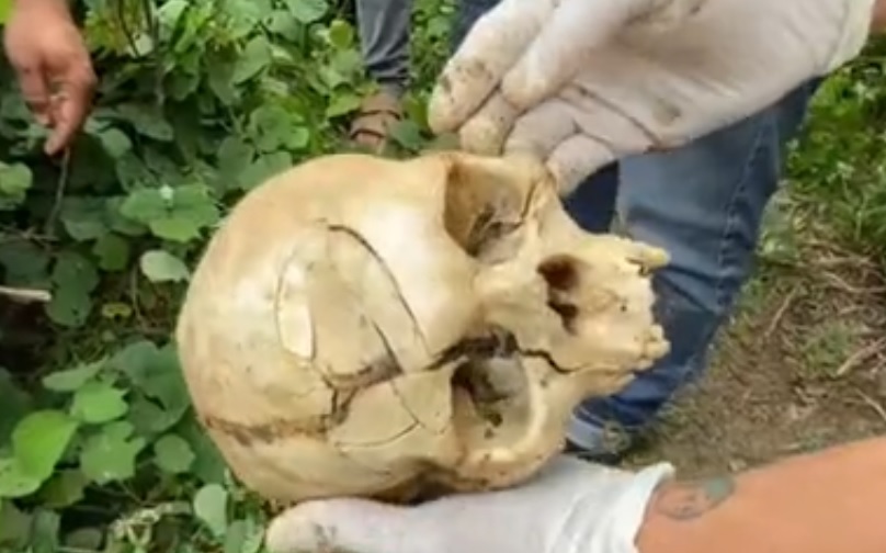 Ossada humana é encontrada por populares em Novo Progresso. Polícia Civil e peritos do CPC Renato Chaves investigam para identificação de restos mortais e descobrir causas da morte - Foto: Reprodução