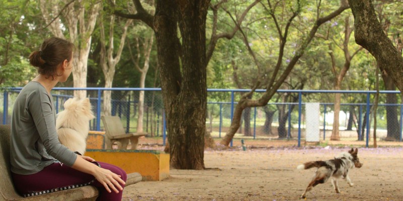 © Rovena Rosa/Agência Brasil