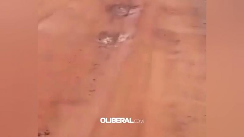 VÍDEO: Motorista registra momento que criminosos explodem carro forte no Pará